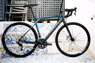 gt grade expert 2019